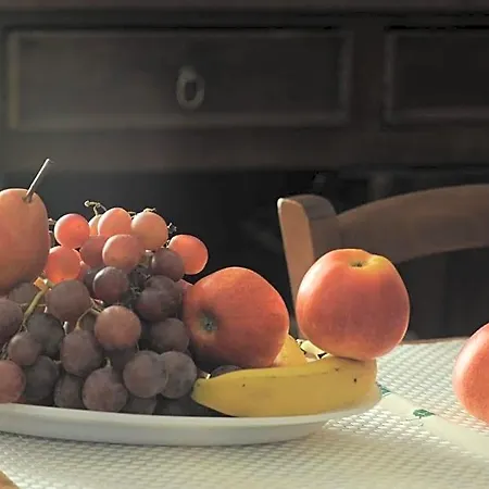 Alojamento de Acomodação e Pequeno-almoço L'incrocio -